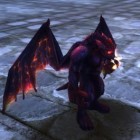 DDO Players Poll – What Creature Companion Would We Like To See Next?