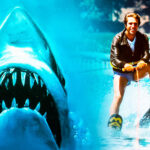 Jaws, Furbies, and the Sound of Money: Is Magic: The Gathering Jumping The Shark