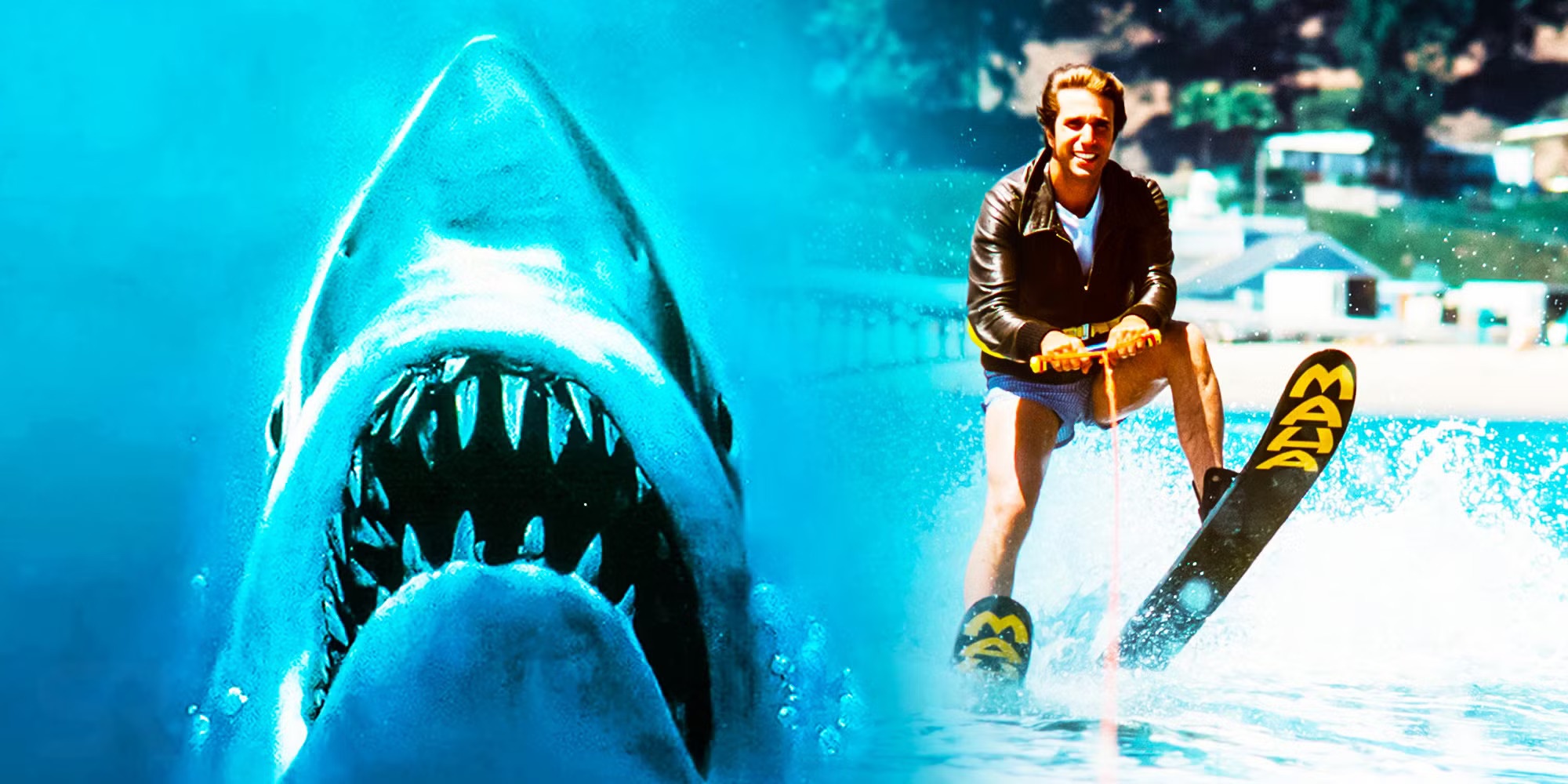 Jaws, Furbies, and the Sound of Money: Is Magic: The Gathering Jumping The Shark